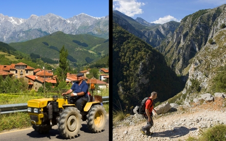 Farming and Walking in Treviso